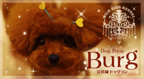 �g�C�v�[�h���@�q���@�̔��@�u���[�_�[