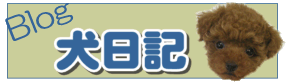 �u���O