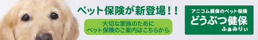 安心、健保共済